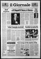giornale/CFI0438329/1993/n. 84 del 9 aprile